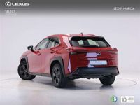 usado Lexus UX 250h BUSINESS AUTO 2.0 184 5P