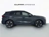 Usado Cupra Terramar 150 CV (110 kW) 2024 Azul SUV