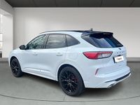 Usado Ford Kuga ST-Line X 225 CV (165 kW) 2023 Blanco SUV