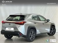 Usado Lexus UX 250h Business Edition 184 CV (135 kW) 2022 Gris SUV