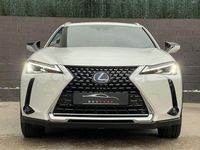 Usado Lexus UX Business Edition 184 CV (135 kW) 2020 Blanco SUV