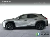 Usado Lexus UX 250h Business Edition 184 CV (135 kW) 2020 Gris SUV