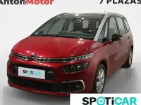 Usado Citroën C4 Feel 130 CV (95 kW) 2021
