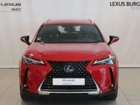 Usado Lexus UX 250h 184 CV (135 kW) 2022 Rojo SUV