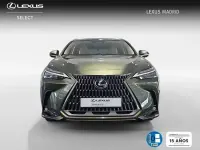 Nuevo Lexus NX450h+ Luxury Line 292 CV (214 kW) 2026 Verde SUV