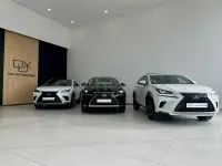 Usado Lexus RX450h Executive Line 313 CV (230 kW) 2016 Gris / plata SUV