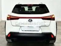 Usado Lexus UX 184 CV (135 kW) 2021 Blanco SUV
