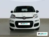Nuevo Fiat Panda Icon 65 CV (47 kW) 2026 Blanco Utilitario