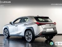 Usado Lexus UX 250h Luxury Line 184 CV (135 kW) 2019 Gris SUV