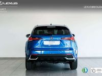 usado Lexus NX300h BUSINESS NAVIGATION