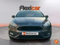 Usado Ford Focus Trend 100 CV (73 kW) 2017 Gris Berlina