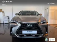 Usado Lexus NX450h+ Executive Line 147 CV (108 kW) 2026 Plateado SUV