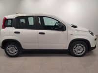 usado Fiat Panda 1.0 Gse City Live Hybrid