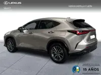 Usado Lexus NX450h+ 298 CV (219 kW) 2025 Gris SUV