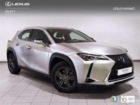 usado Lexus UX 250h Business Navigation 2WD