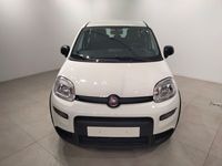 Usado Fiat Panda 70 CV (51 kW) 2024 Blanco Utilitario