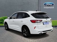 usado Ford Kuga 1.5 EcoBlue ST-Line FWD 120