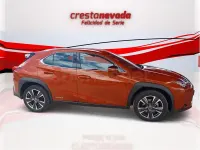 Usado Lexus UX Business Edition 184 CV (135 kW) 2022 Naranja SUV