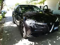 Usado Alfa Romeo Stelvio Super 200 CV (147 kW) 2018 Negro SUV