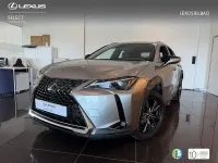 Usado Lexus UX Business Edition 184 CV (135 kW) 2022 Gris / plata SUV