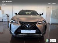 Usado Lexus UX 250h Business Edition 2019 Plateado SUV