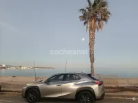 Usado Lexus UX Business Edition 184 CV (135 kW) 2020 Gris / plata SUV