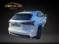 usado Lexus NX300h Business Navigation 2wd