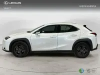 Usado Lexus UX 300h 2026 Blanco SUV