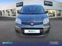 Usado Fiat Panda Easy 69 CV (50 kW) 2018 Gris / plata Utilitario