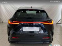 Usado Lexus NX350h 242 CV (177 kW) 2024 Negro SUV