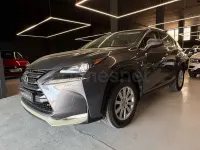 Usado Lexus NX300h Business Edition 197 CV (144 kW) 2017 Gris / plata SUV