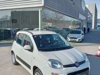 usado Fiat Panda 1.2 Lounge