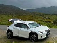 Usado Lexus UX Executive Line 184 CV (135 kW) 2019 Blanco SUV