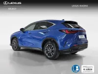 Usado Lexus NX300h Executive Line 306 CV (225 kW) 2022 Azul SUV