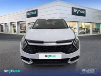 Occasion Kia Sportage 162 ch (119 kW) 2024 Blanc SUV