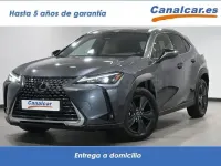 Usado Lexus UX 300h 199 CV (146 kW) 2025 Gris / plata SUV