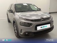 usado Citroën C4 Cactus PureTech 81KW (110CV) S&S EAT6 Shine