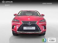 Usado Lexus NX300h Business Edition 197 CV (144 kW) 2020 Rojo SUV