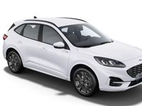 usado Ford Kuga 2.5 Duratec Fhev St-line Awd Aut.