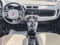 Usado Fiat Panda Lounge 69 CV (50 kW) 2013 Beige Utilitario