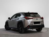 usado Lexus UX 250h Business 2wd