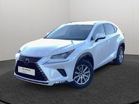Usado Lexus NX300h Business Edition 197 CV (144 kW) 2019 Blanco SUV