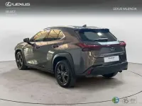 Usado Lexus UX 300h 199 CV (146 kW) 2025 Gris SUV