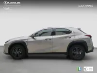 Usado Lexus UX 199 CV (146 kW) 2025 Otro SUV