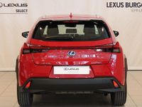 Usado Lexus UX Business Edition 184 CV (135 kW) 2021 Rojo SUV