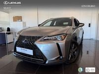 Usado Lexus UX Business Edition 184 CV (135 kW) 2019 Gris / plata SUV