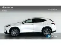 Usado Lexus NX450h+ Executive Line 309 CV (227 kW) 2023 Blanco SUV