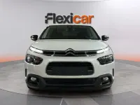 Usado Citroën C4 Cactus Shine 102 CV (75 kW) 2020 Blanco Utilitario