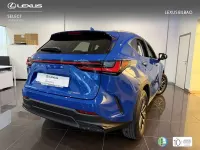 Usado Lexus NX350h Business Edition 242 CV (177 kW) 2022 Azul SUV