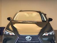 Usado Lexus NX350h Business Edition 242 CV (177 kW) 2023 Verde SUV